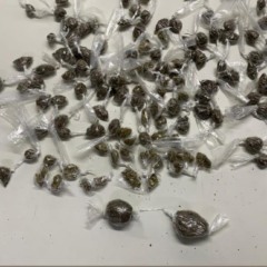 Foto: Sgt PM RR/C Barros