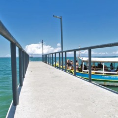  Foto: Feijão Almeida/ GOV BA