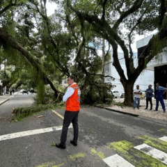 Foto: Divulgação / Defesa Civil de Salvador