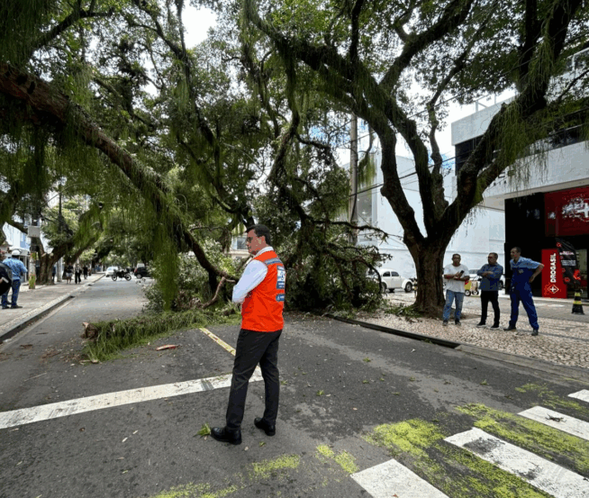 Foto: Divulgação / Defesa Civil de Salvador