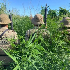 Foto: Divulgação / Ascom PM