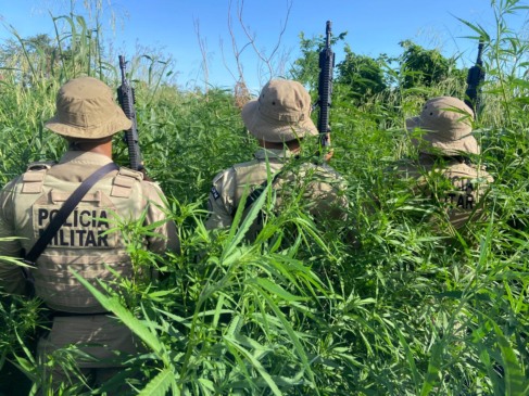 Foto: Divulgação / Ascom PM