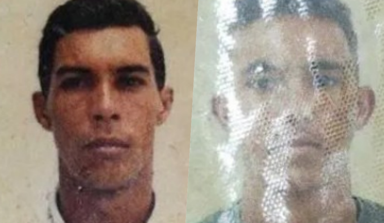 acidente com vaca mata duas pessoas na Bahia acidente com vaca mata duas pessoas na Bahia