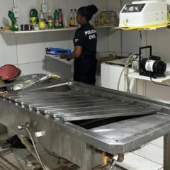 Foto: Pedro Moraes / Ascom PCBA