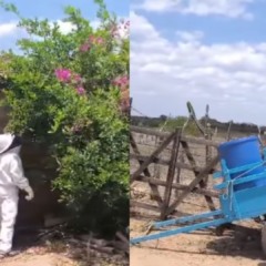 Foto: Reprodução/ @anjosjacuipenses