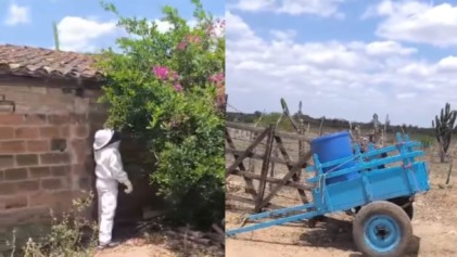 Foto: Reprodução/ @anjosjacuipenses