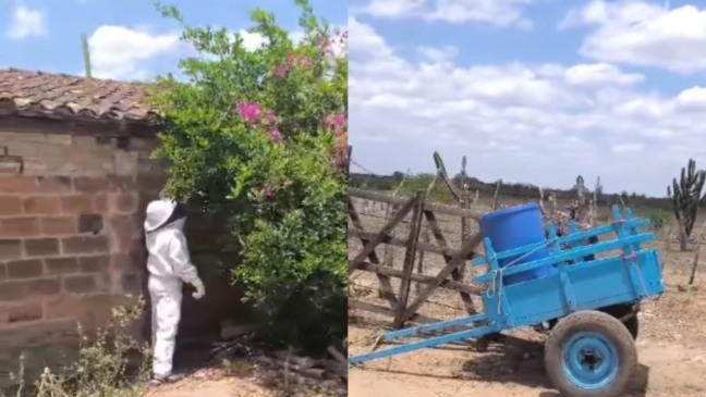 Foto: Reprodução/ @anjosjacuipenses