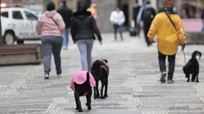 Foto: Agência Brasil
