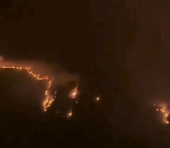 Foto: Reprodução / Redes Sociais