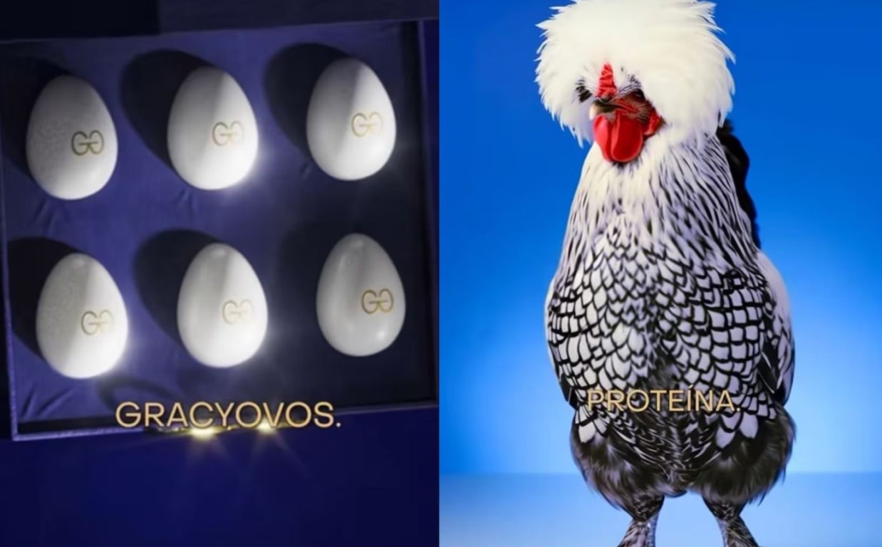 Foto: divulgação Foto: divulgação