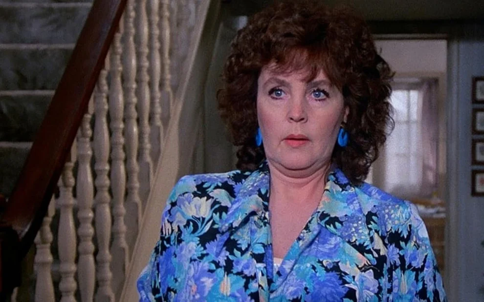 Foto: Divulgação Foto: Divulgação