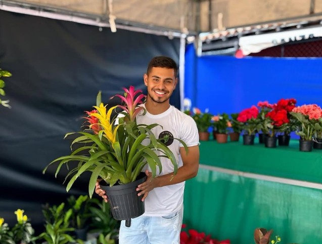 Reprodução Reprodução