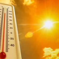 Foto: Reprodução / Shutterstock