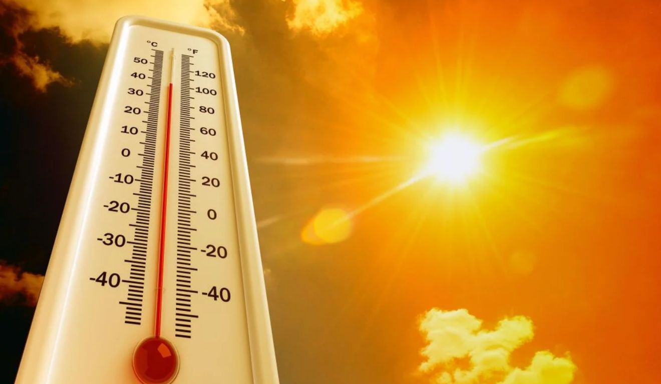 Foto: Reprodução / Shutterstock Foto: Reprodução / Shutterstock