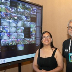 Foto: Adam Vidal / Secom
