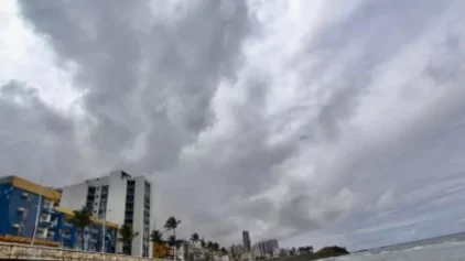 Foto: Vagner Souza/PSNotícias Foto: Vagner Souza/PSNotícias