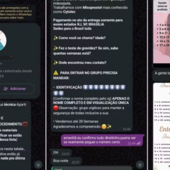 Foto: Polícia Civil/Divulgação