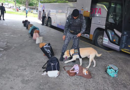 Foto: 1ª CIPM/Divulgação