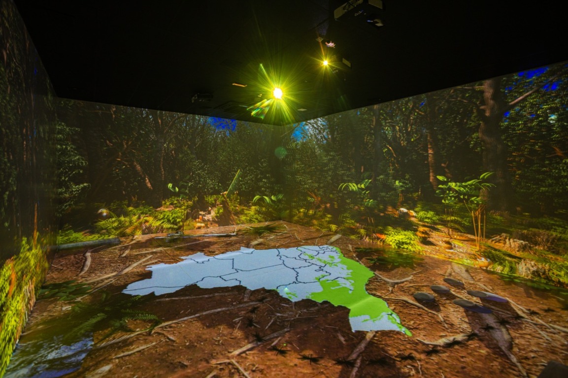 Foto: Igor Santos/Secom PMS
Foto: Igor Santos/Secom PMS