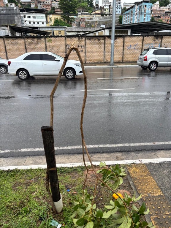 Foto: Divulgação/Secis