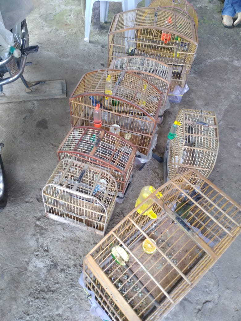 Foto: Divulgação / PC-BA