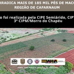 CIPE Semiárido