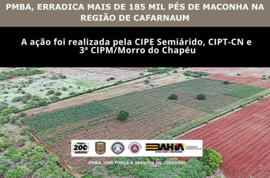 CIPE Semiárido
