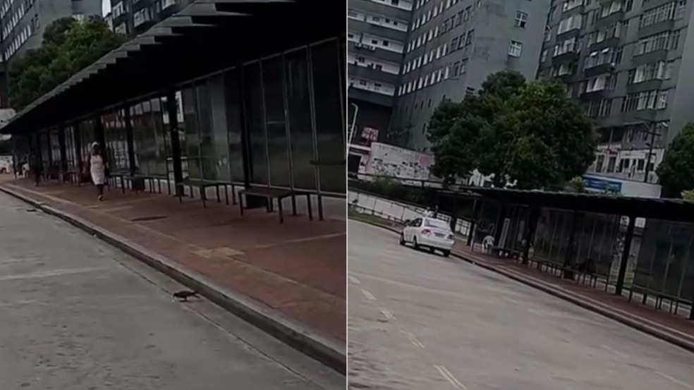 Foto: Reprodução/Redes Sociais Foto: Reprodução/Redes Sociais