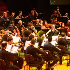 Foto: Divulga&ccedil;&atilde;o/Ricardo Prado