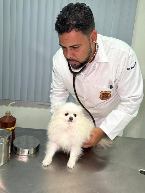 Foto: Dr. Vitor Mattos / Arquivo pessoal