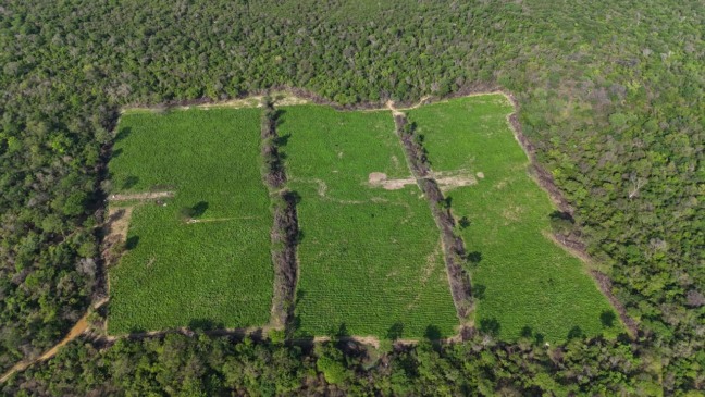 Foto: CIPE-Semiárido