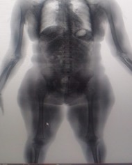 Foto: Divulga&ccedil;&atilde;o