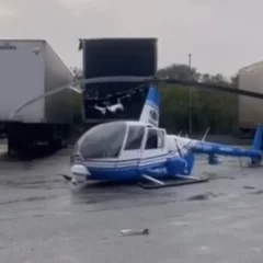 Reprodução: Redes sociais