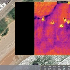 Foto: Divulgação / GCM