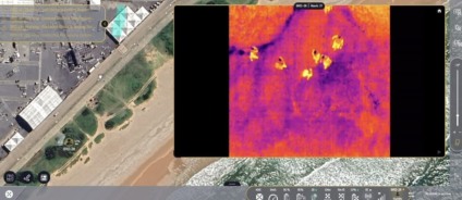 Foto: Divulgação / GCM Foto: Divulgação / GCM