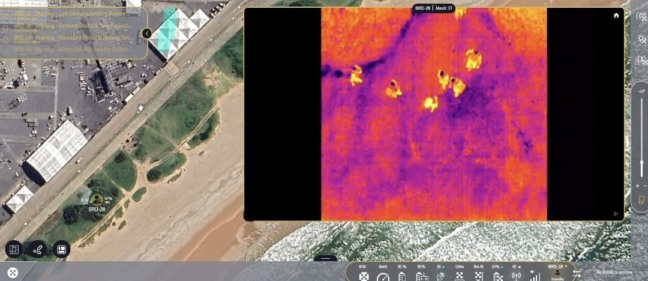 Foto: Divulgação / GCM