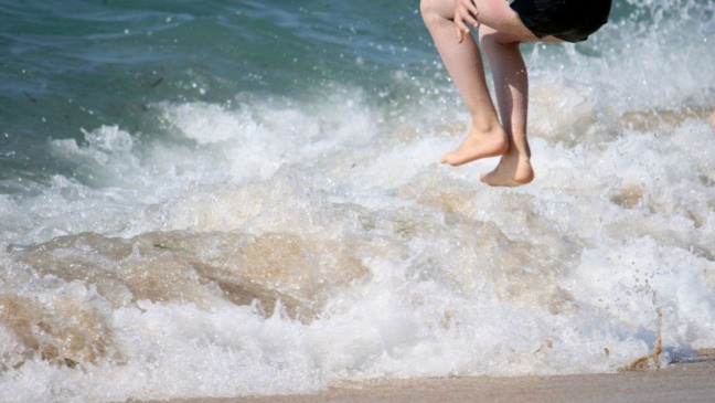 Foto: Reprodução/Canva