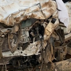 Reprodu&ccedil;&atilde;o/Leitor PS Not&iacute;cias