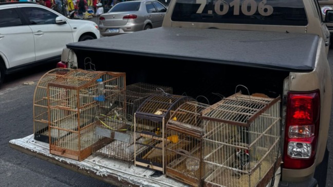 Foto: Reprodução/ COPPA