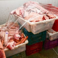 Foto: Reprodução/Conecta Conquista 