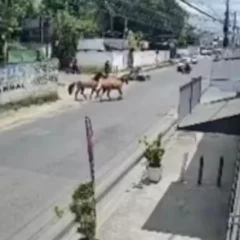 Foto: Reprodução / Redes Sociais