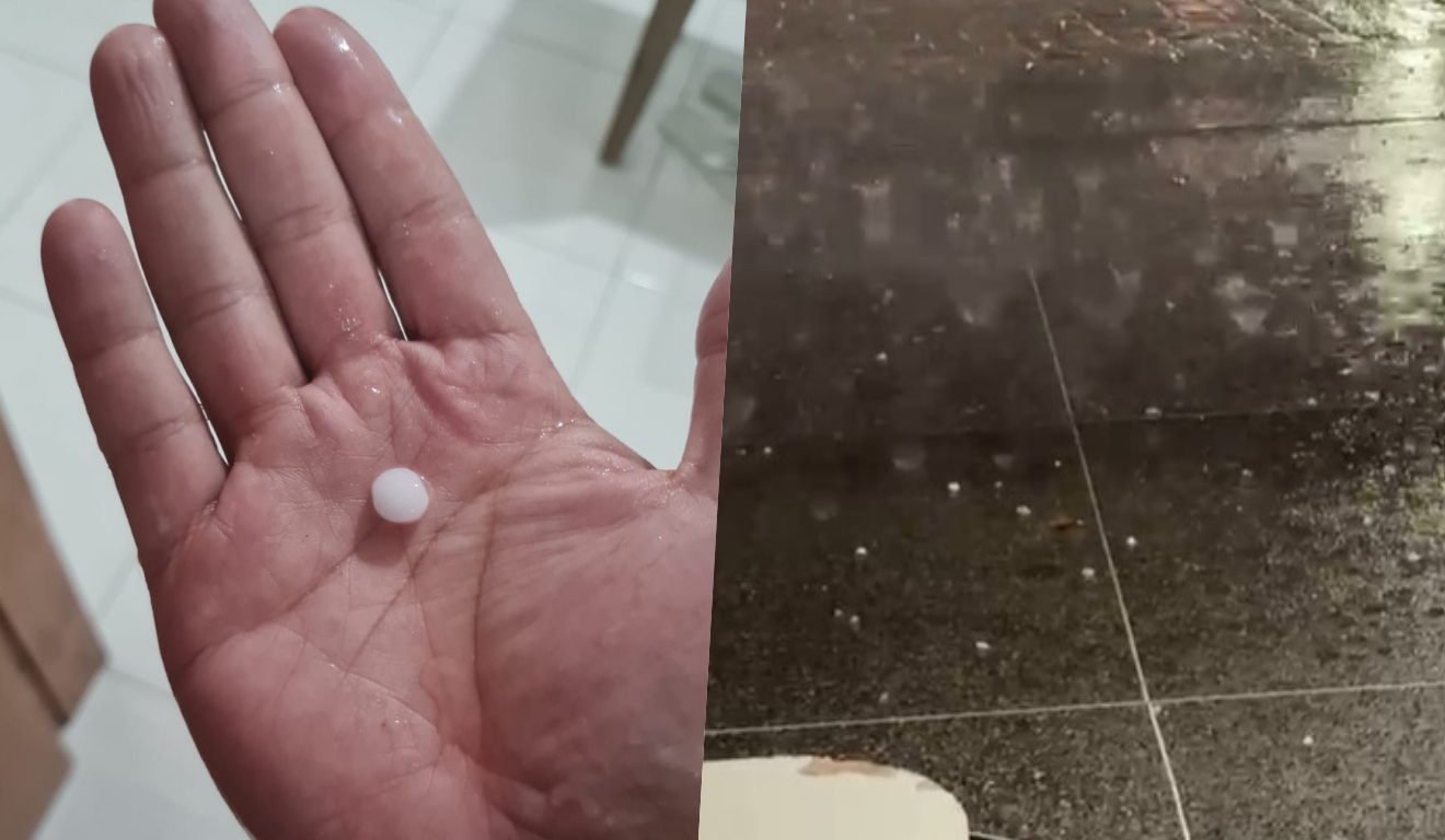 Leitor PS Notícias Leitor PS Notícias