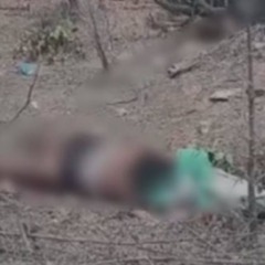 Foto: Reprodu&ccedil;&atilde;o