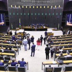 Bancada baiana em sessão especial na Câmara. Foto: Vinicius Loures/Câmara dos Deputados