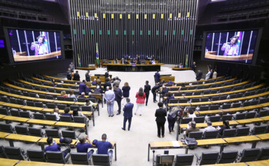 Bancada baiana em sessão especial na Câmara. Foto: Vinicius Loures/Câmara dos Deputados
