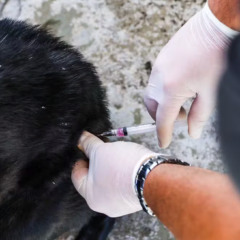 Foto: Divulgação / Secom SMS