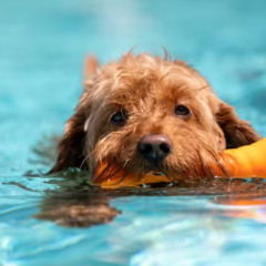 Foto: Reprodu&ccedil;&atilde;o/Internet