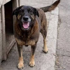 
Foto: Reprodução/Redes sociais