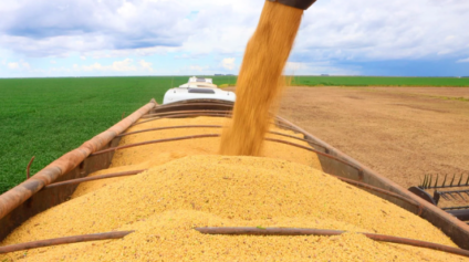 Foto: AIBA/Divulgação