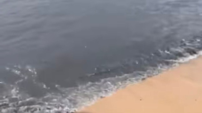 Foto: Reprodução/Redes Sociais